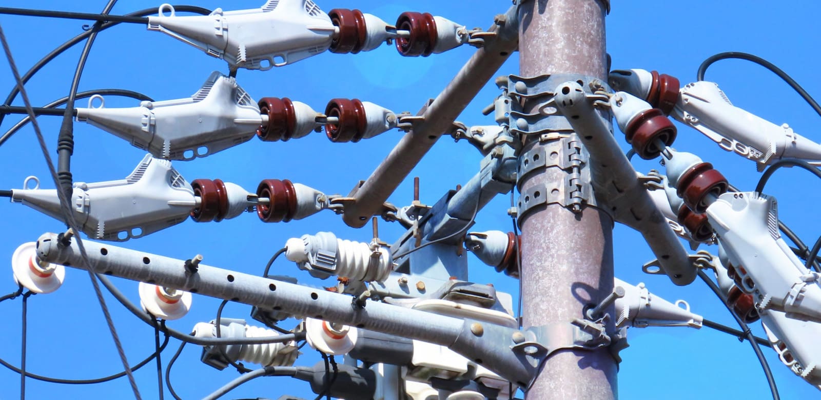 有限会社岩井電気